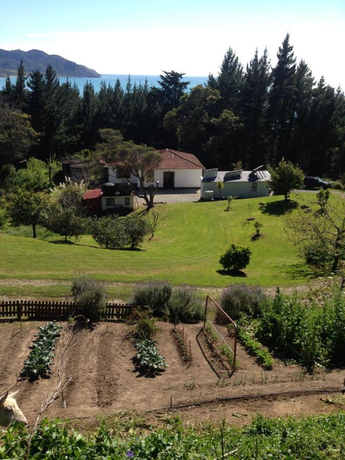 Waipiro Bay Paradise Bed and Breakfast Te Puia Esterno foto