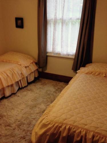 Waipiro Bay Paradise Bed and Breakfast Te Puia Esterno foto