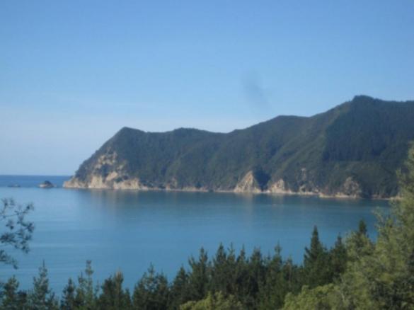 Waipiro Bay Paradise Bed and Breakfast Te Puia Esterno foto
