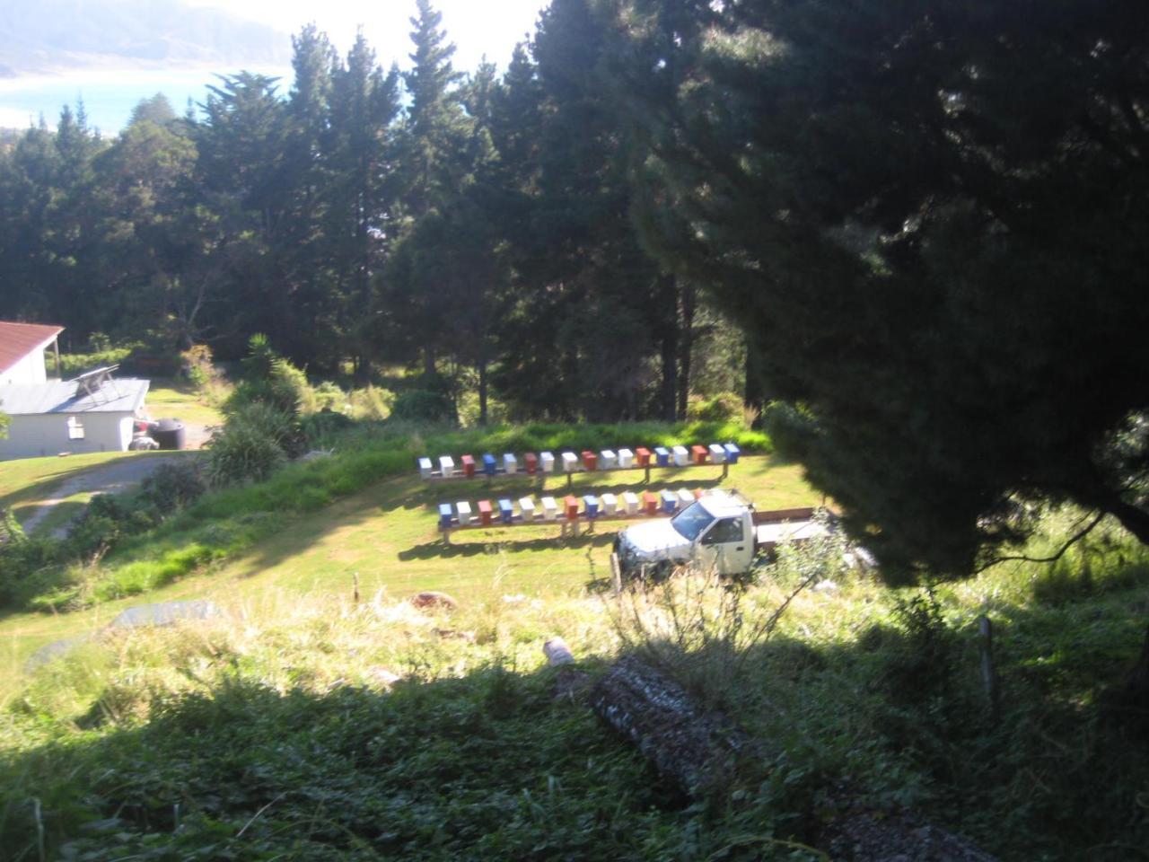 Waipiro Bay Paradise Bed and Breakfast Te Puia Esterno foto