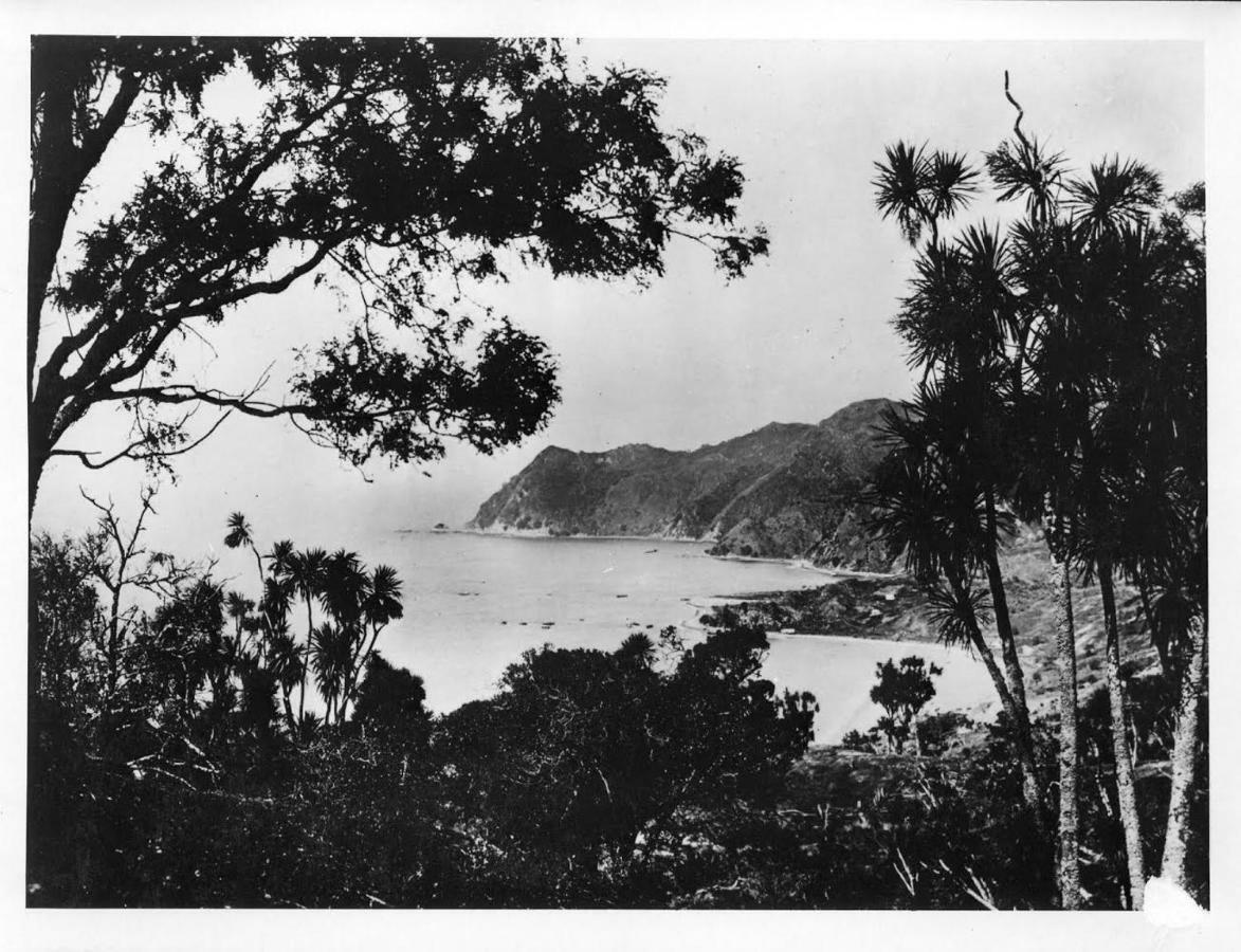 Waipiro Bay Paradise Bed and Breakfast Te Puia Esterno foto